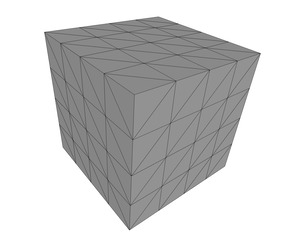 Initial mesh of a cube